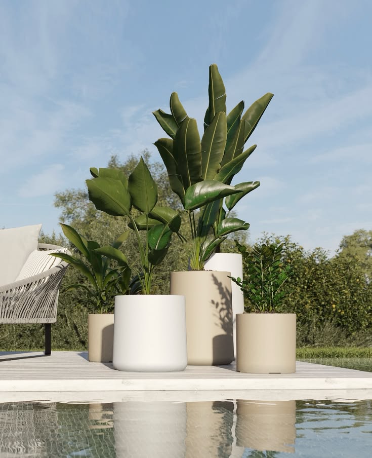 Plantes extérieur artificielles