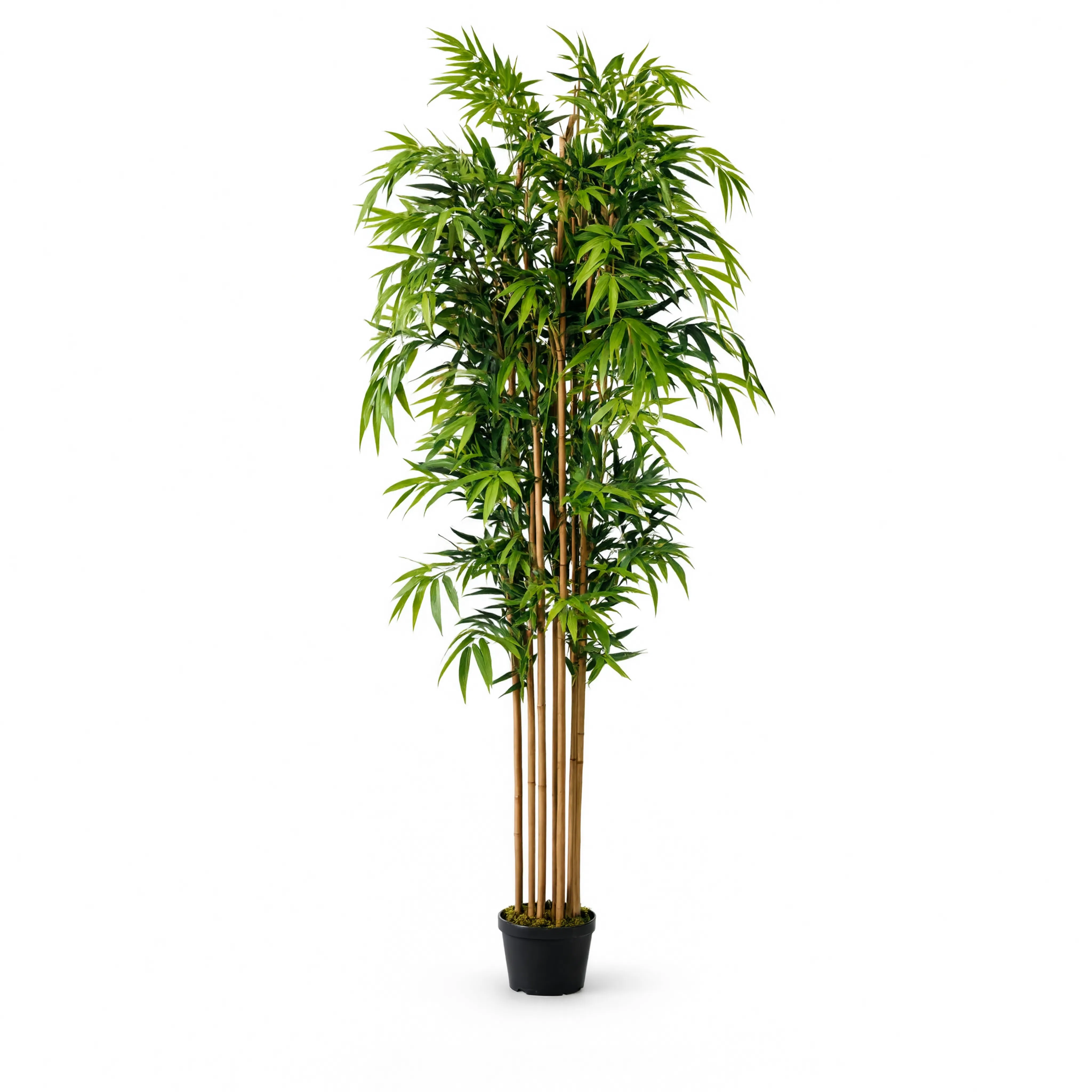 Bambou artificiel - 180 cm