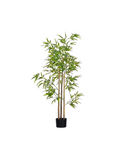 Bambou Japonais Artificiel - 160 cm