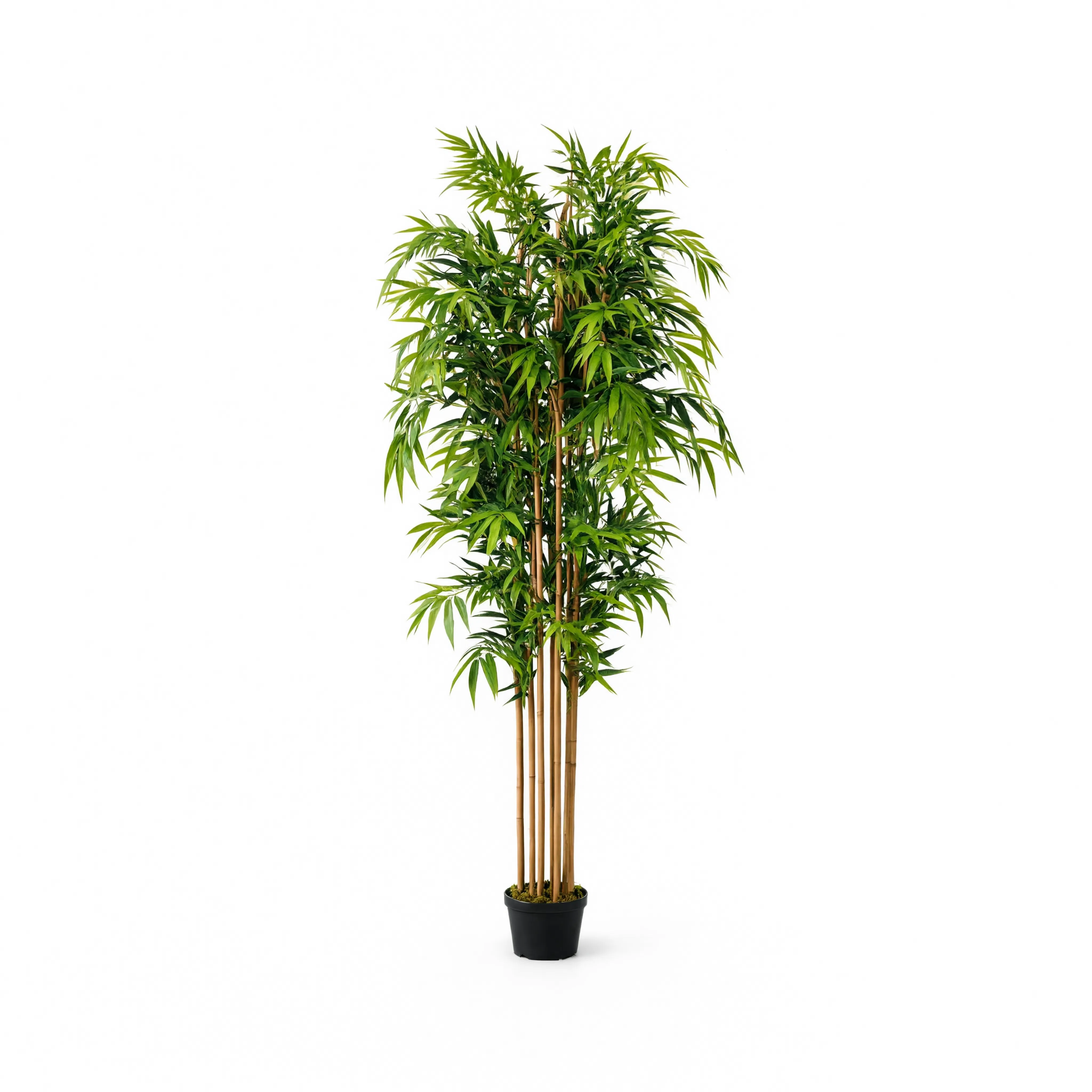 Bambou artificiel - 180 cm