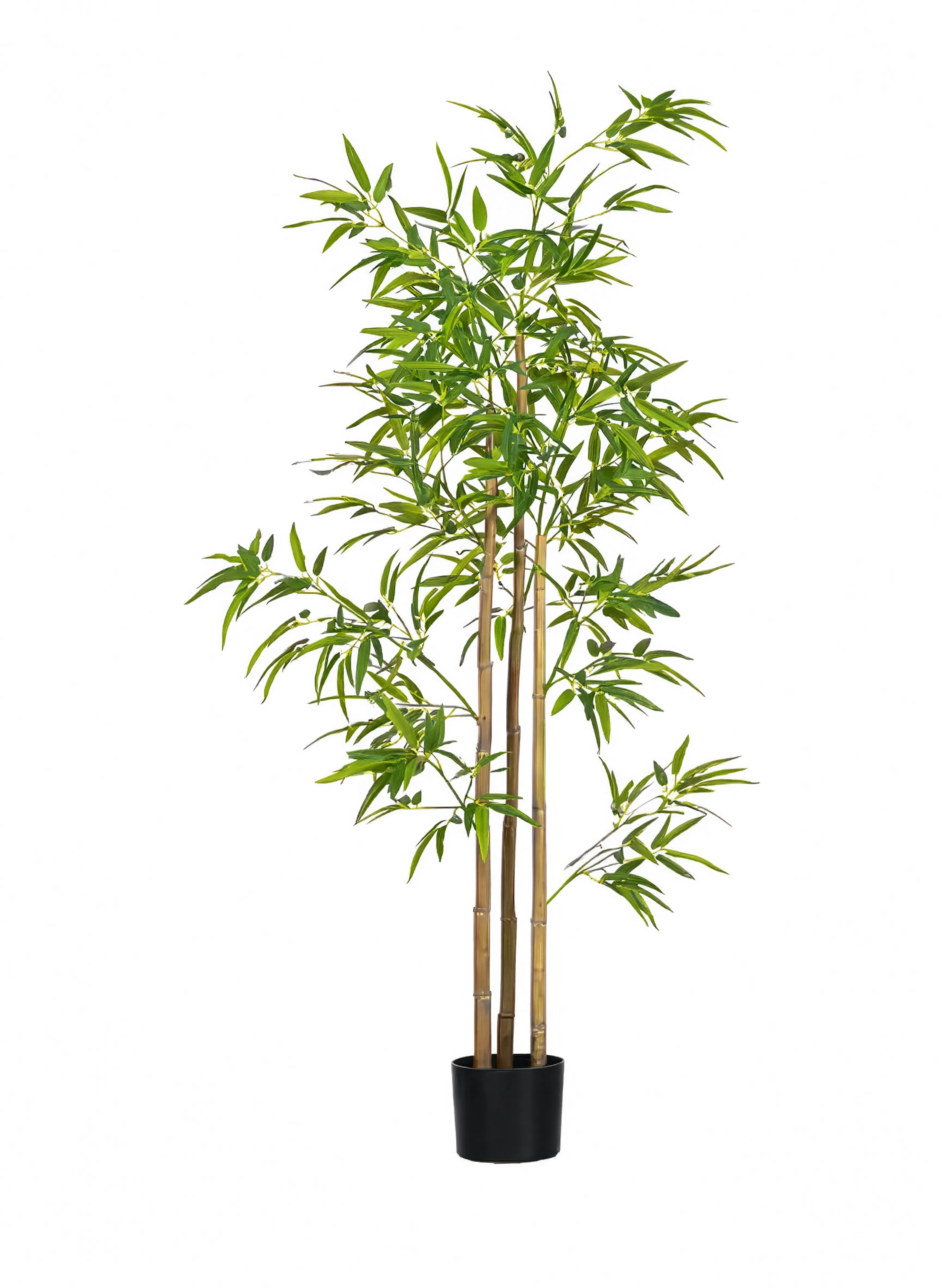 Bambou Japonais Artificiel - 160 cm