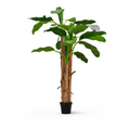 Bananier Artificiel - 250 cm