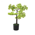 Bonsaï de Cyprès Artificiel - 60 cm