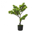 Bonsaï de Pin Artificiel - 60 cm