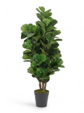 Ficus Lyrata Tressé Artificiel - 80 cm