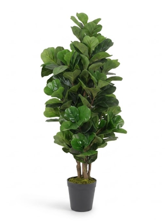 Ficus Lyrata Tressé Artificiel - 80 cm