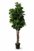 Ficus Lyrata Tressé Artificiel - 120 cm