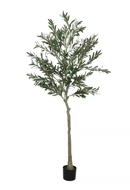 Olivier Oriental Artificiel - 180 cm