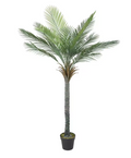 Palmier Phoenix Majesty Artificiel - 180 cm