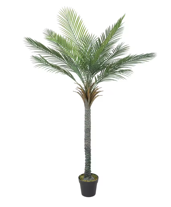 Palmier Phoenix Majesty Artificiel - 180 cm