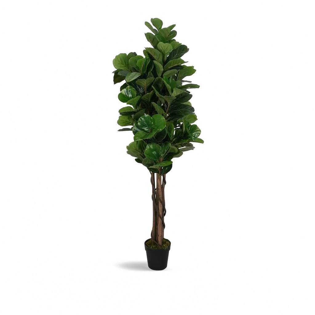 Ficus Lyrata Tressé Artificiel - 120 cm