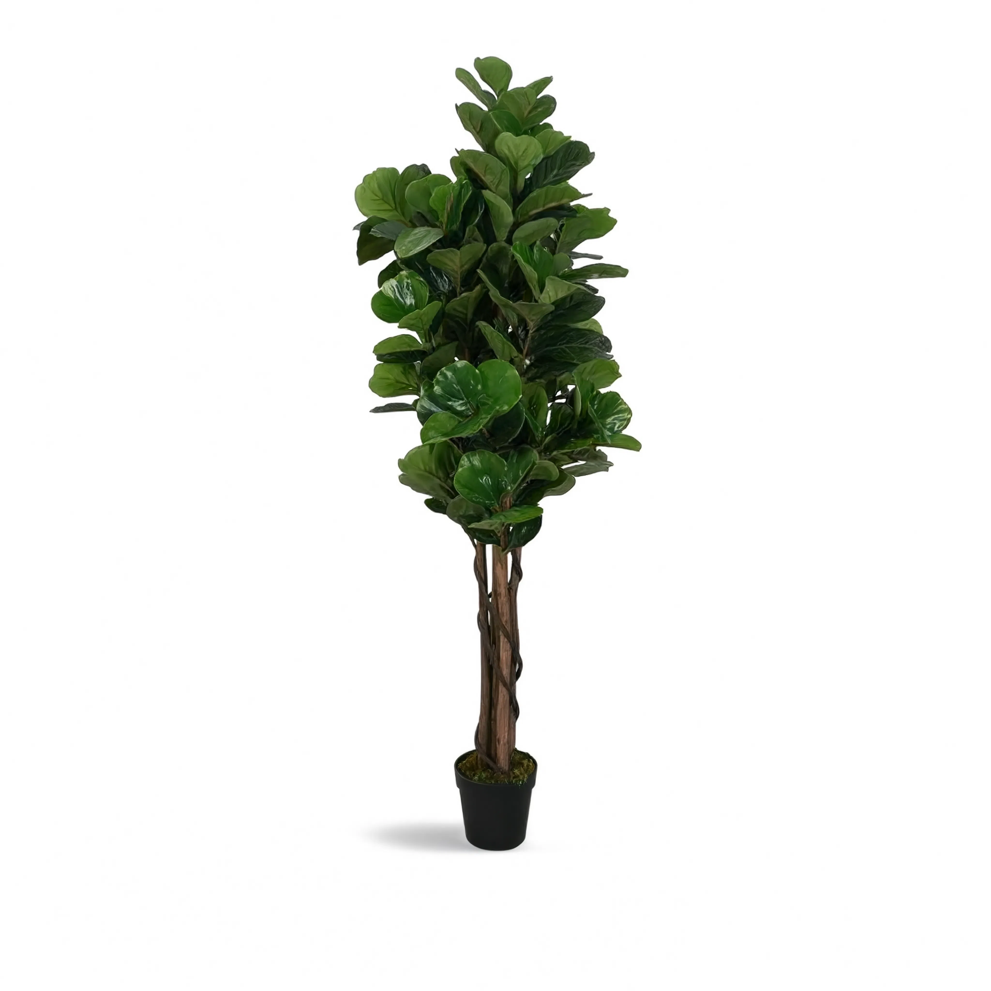 Ficus Lyrata Tressé Artificiel - 120 cm