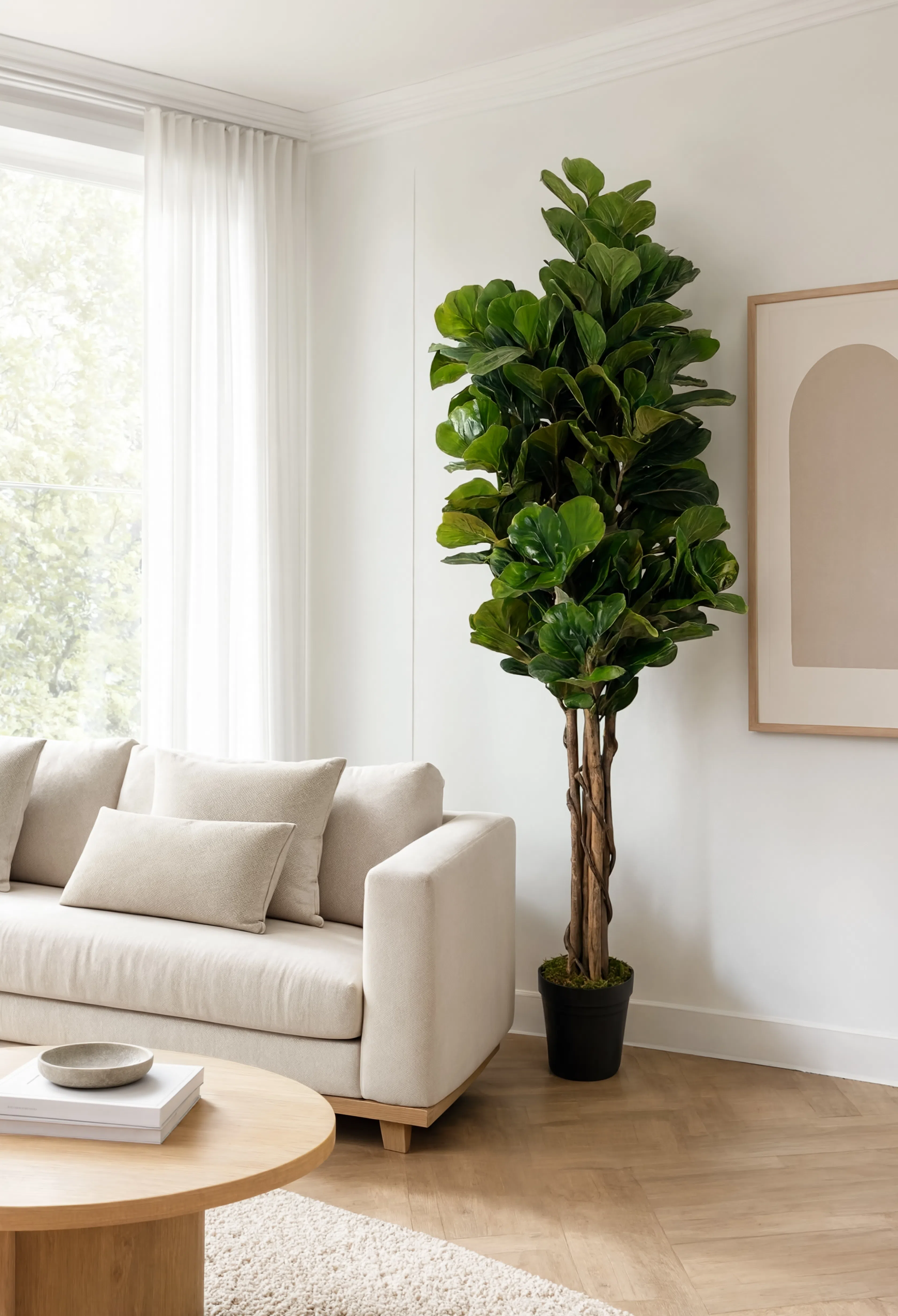 Ficus Lyrata Tressé Artificiel - 180 cm