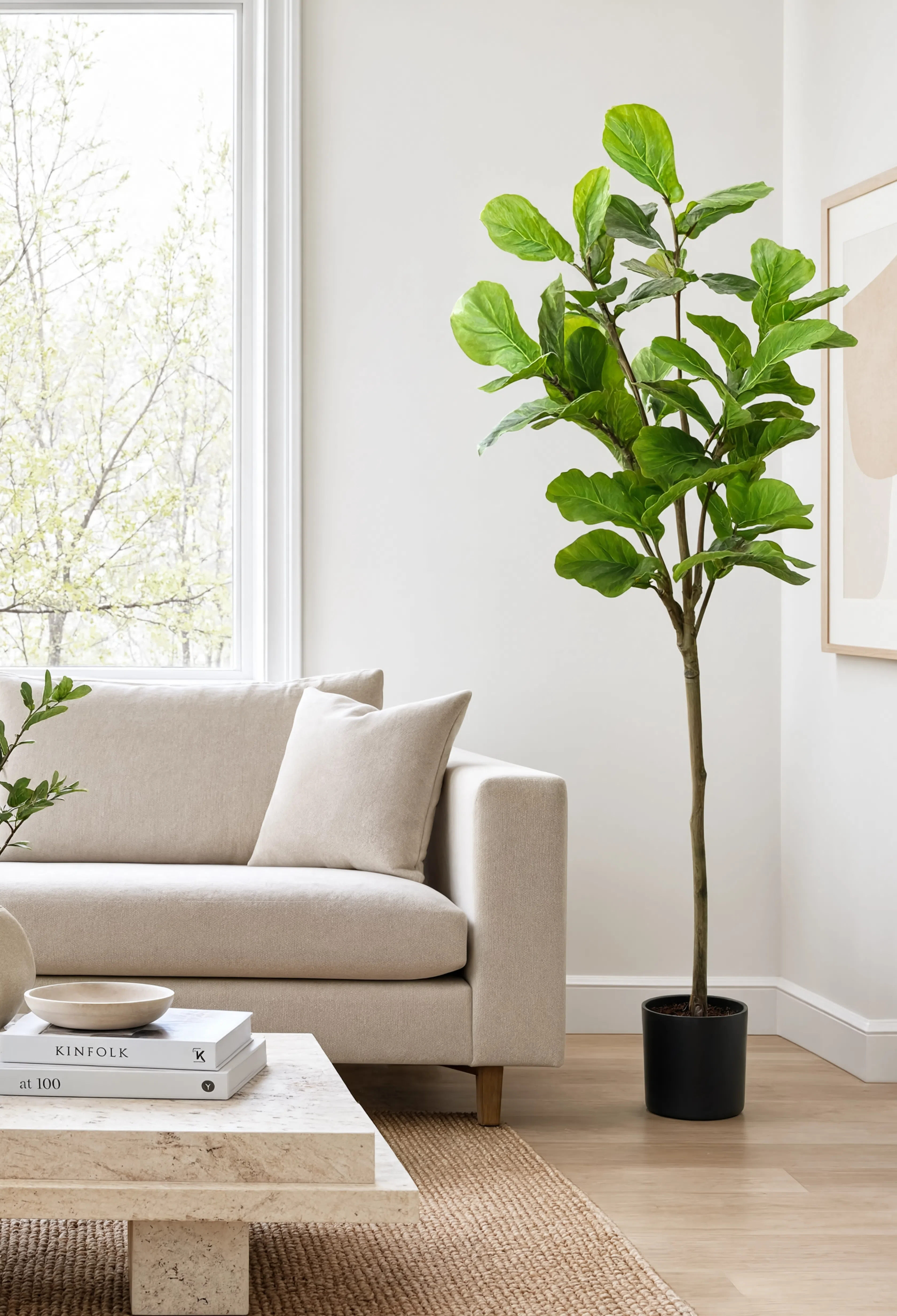 Ficus Audrey Artificiel - 165 cm