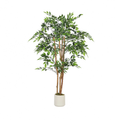 Ficus Muraya Artificiel - 150 cm