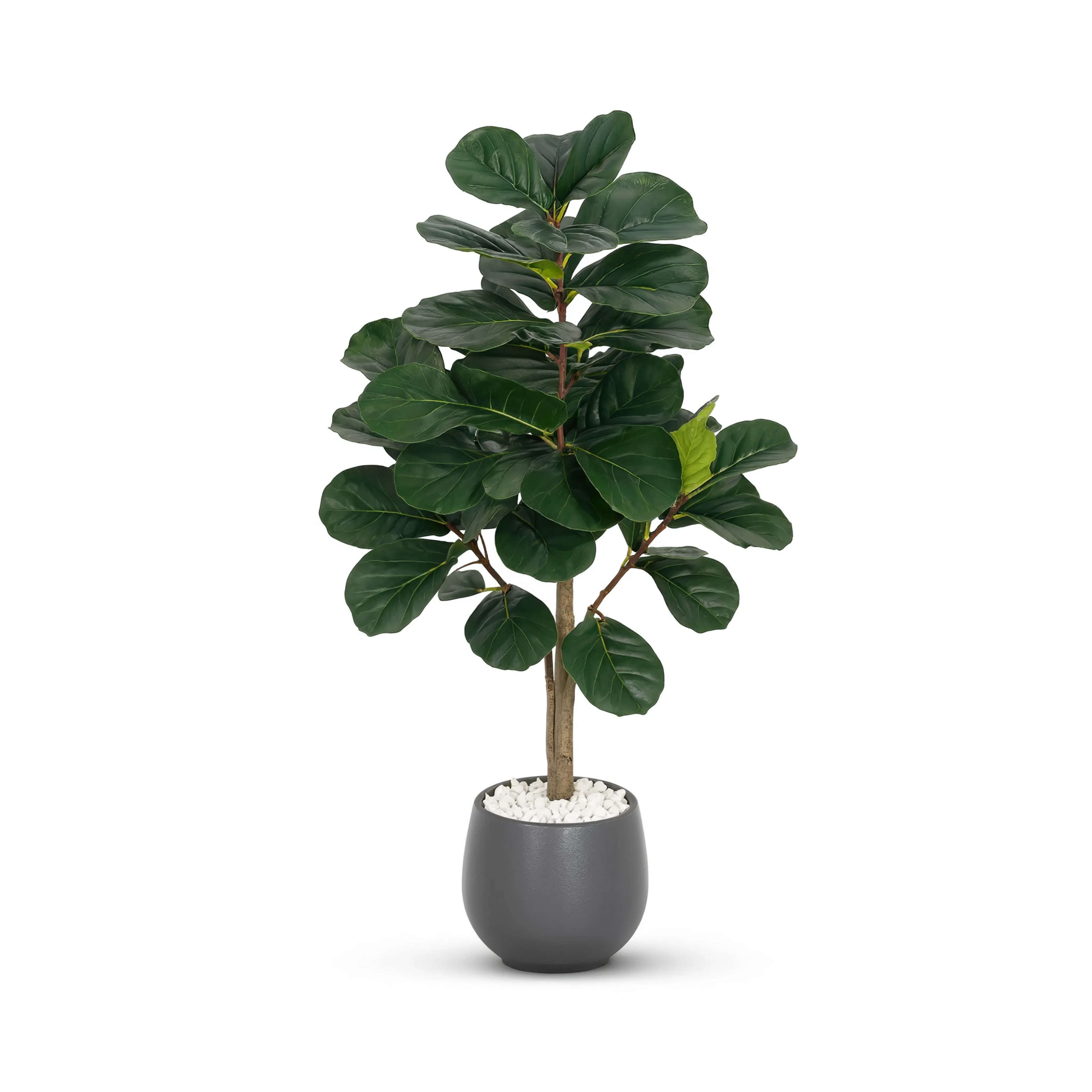 Ficus Lyrata Artificiel - 120 cm