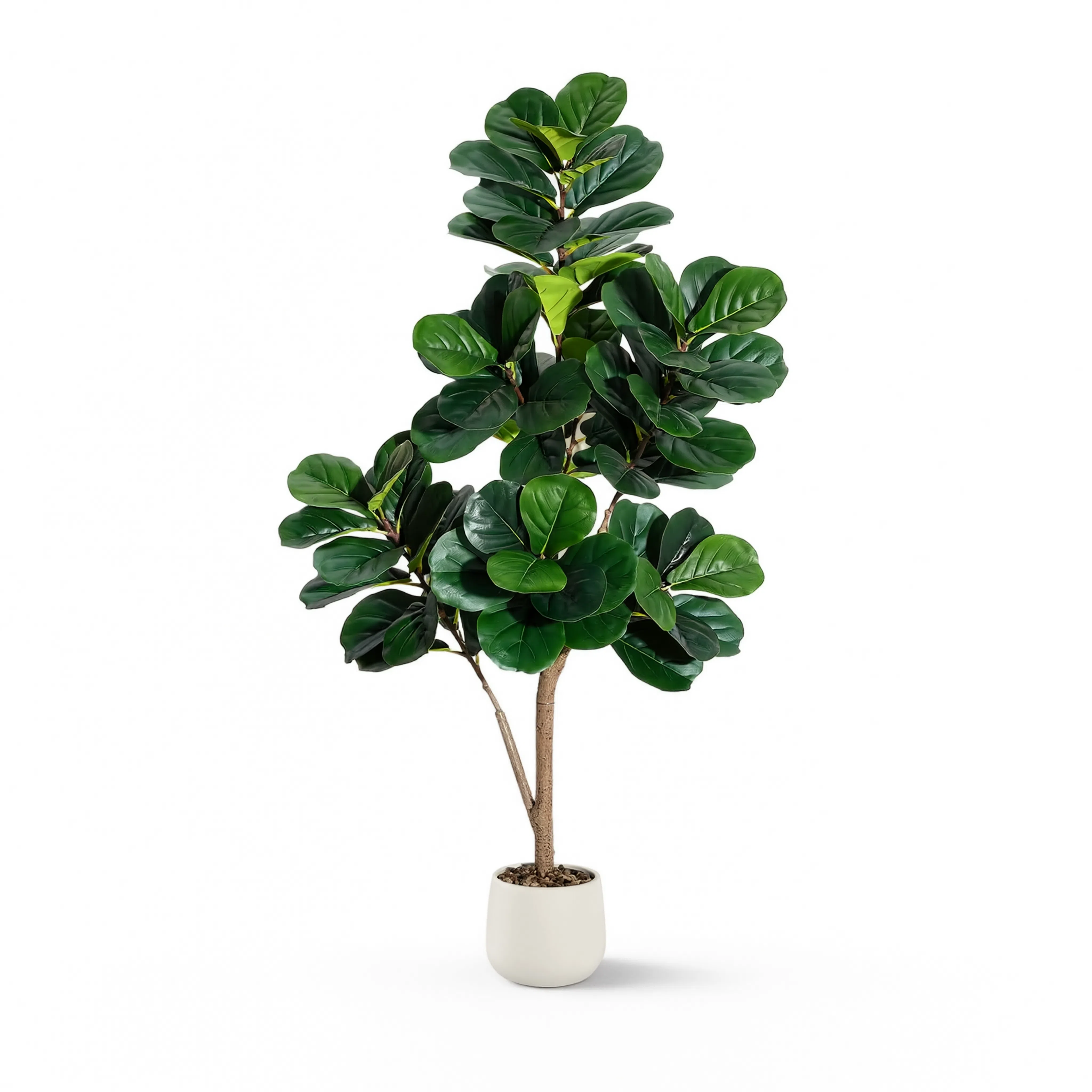 Ficus Lyrata Artificiel - 180 cm