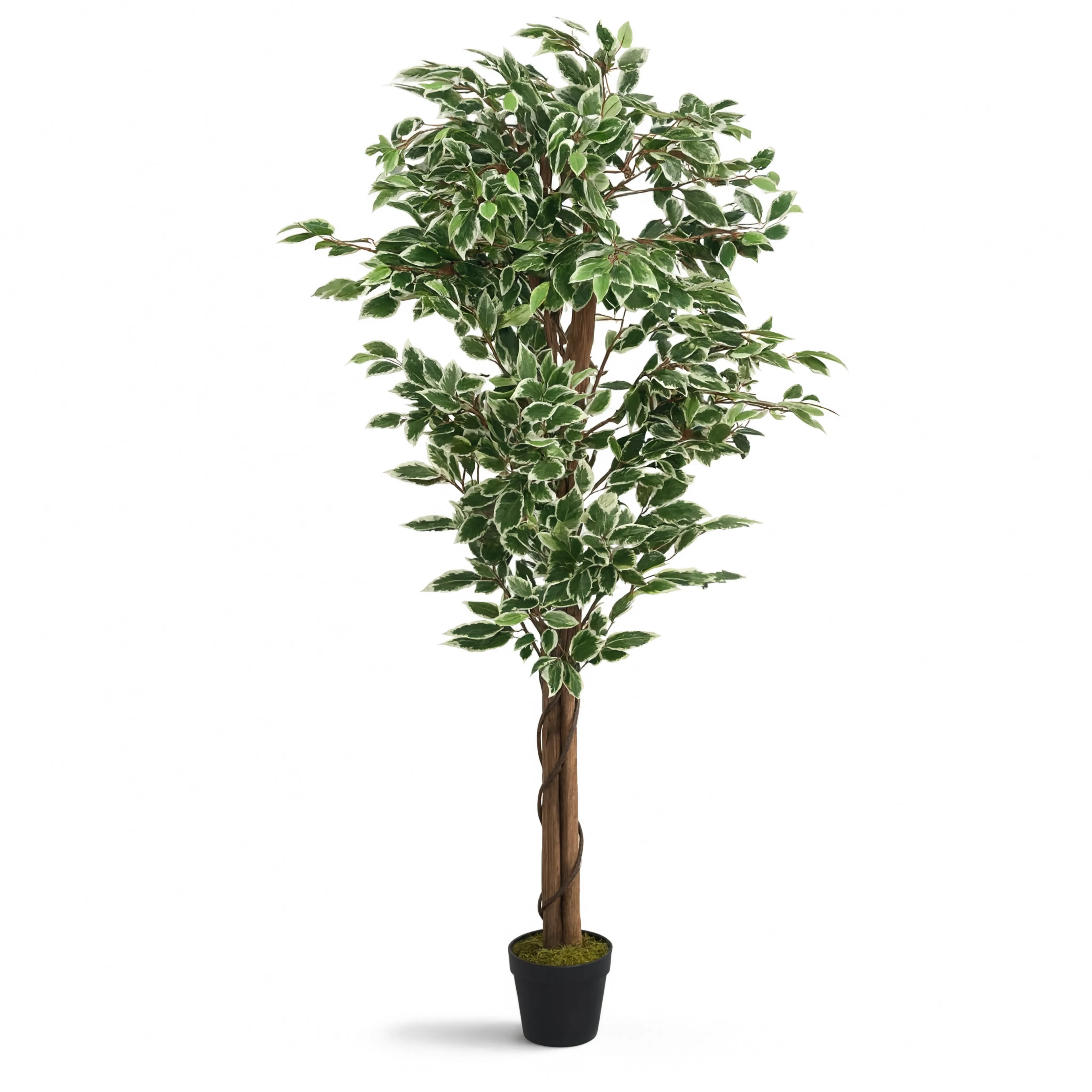 Ficus Exotica Artificiel Deluxe - 150 cm
