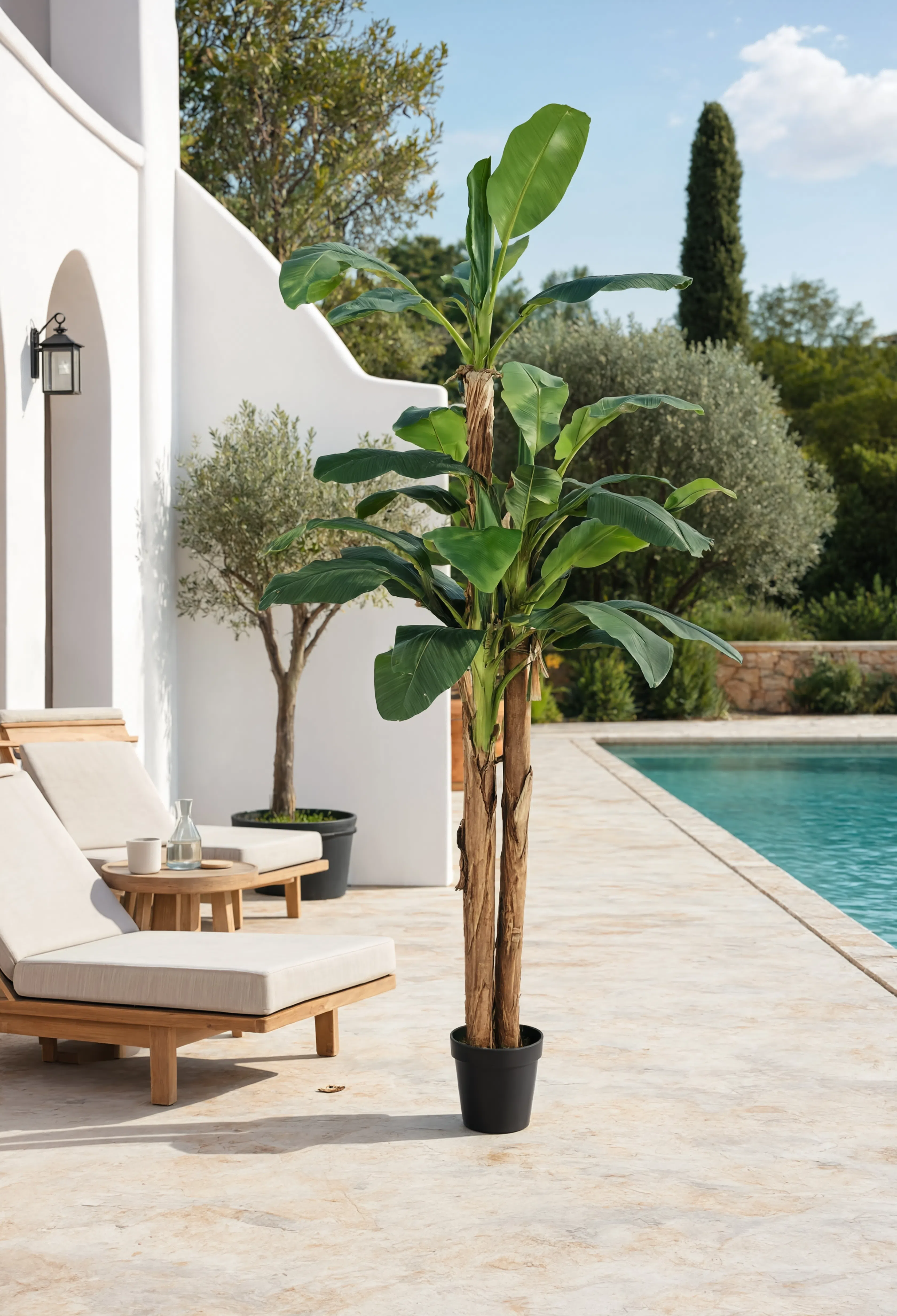 Bananier Exotique Artificiel - 200 cm