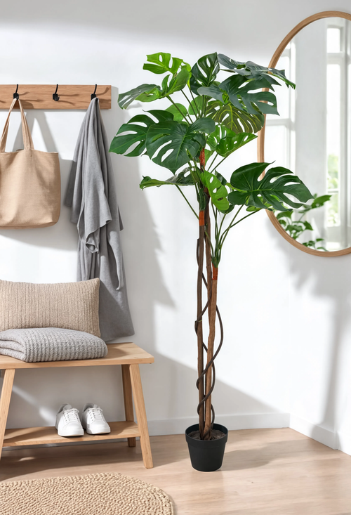 Monstera Artificielle sur Tige Deluxe - 170 cm
