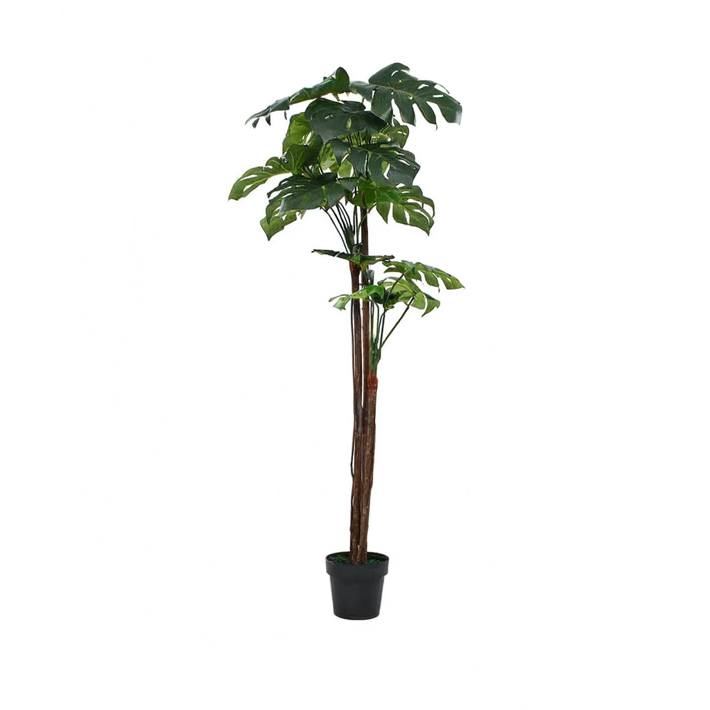 Monstera Artificielle - 170 cm