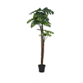 Monstera Artificielle - 170 cm