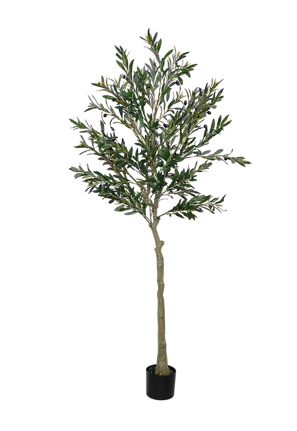 Olivier Oriental Artificiel - 180 cm