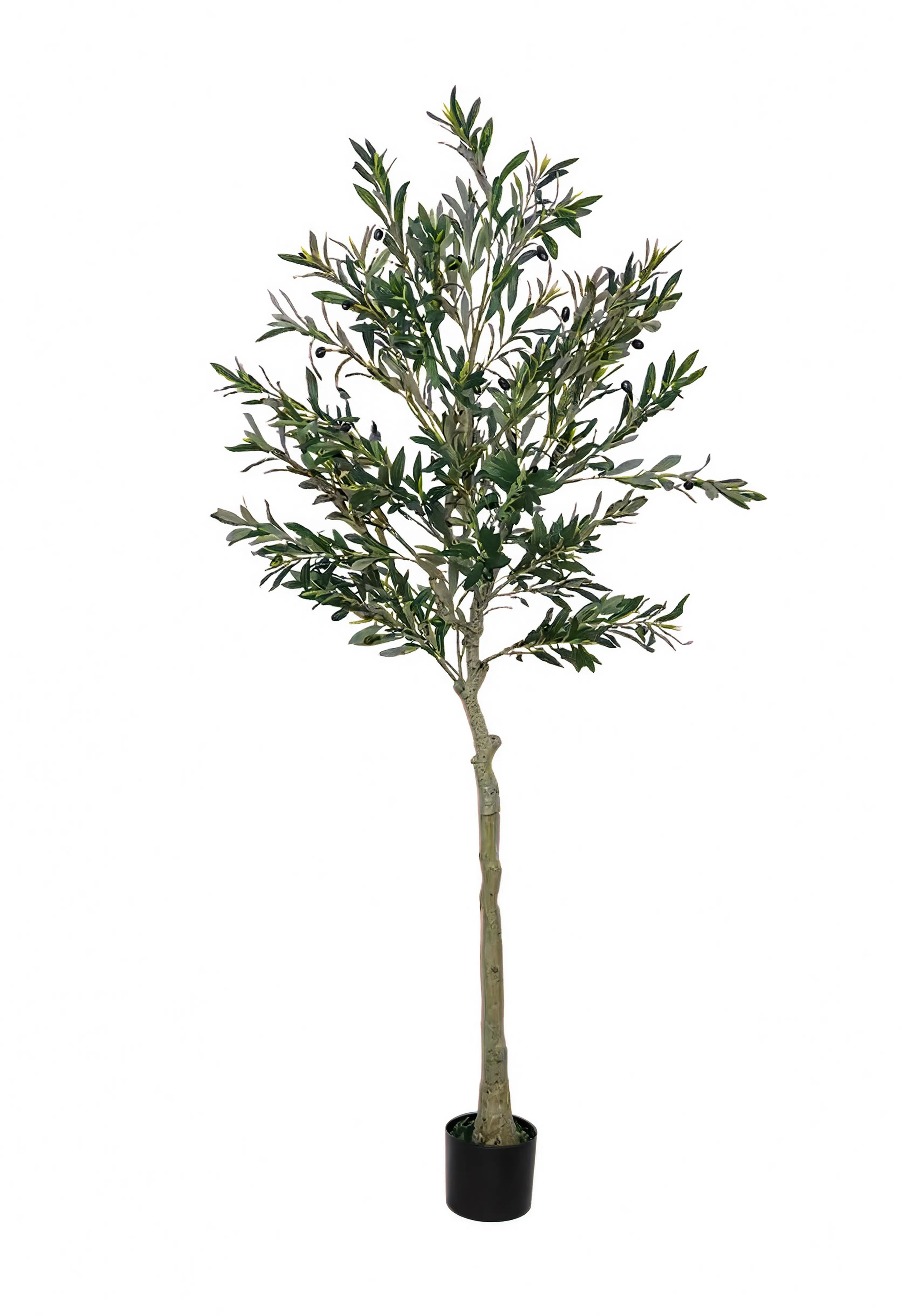 Olivier Oriental Artificiel - 180 cm