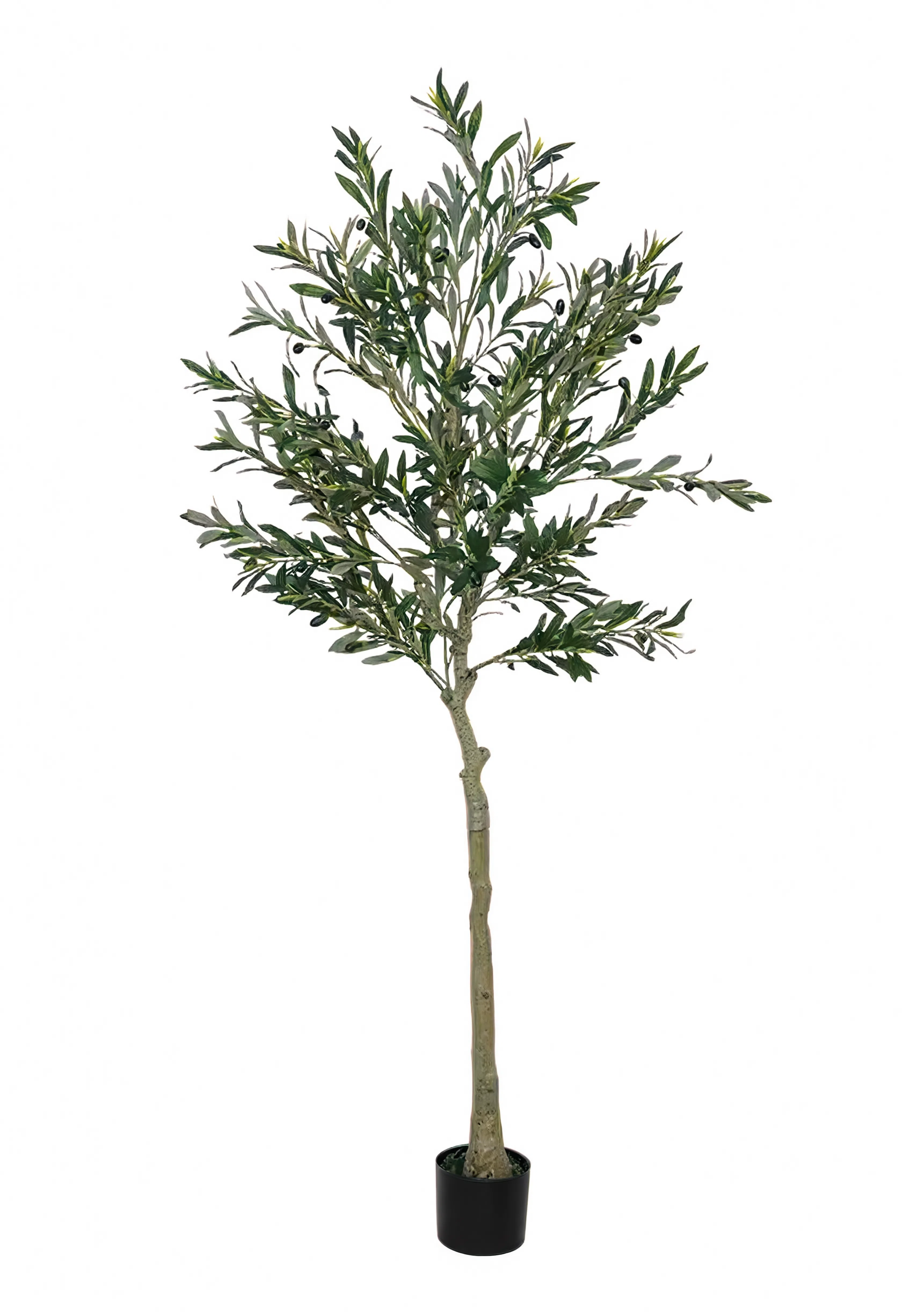 Olivier Oriental Artificiel - 180 cm
