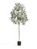 Olivier Boule Artificiel Premium - 140 cm