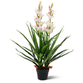 Orchidée Cymbidium Artificielle Royale - 100 cm
