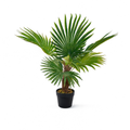 Palmier Vert Exotique Artificiel - 70 cm