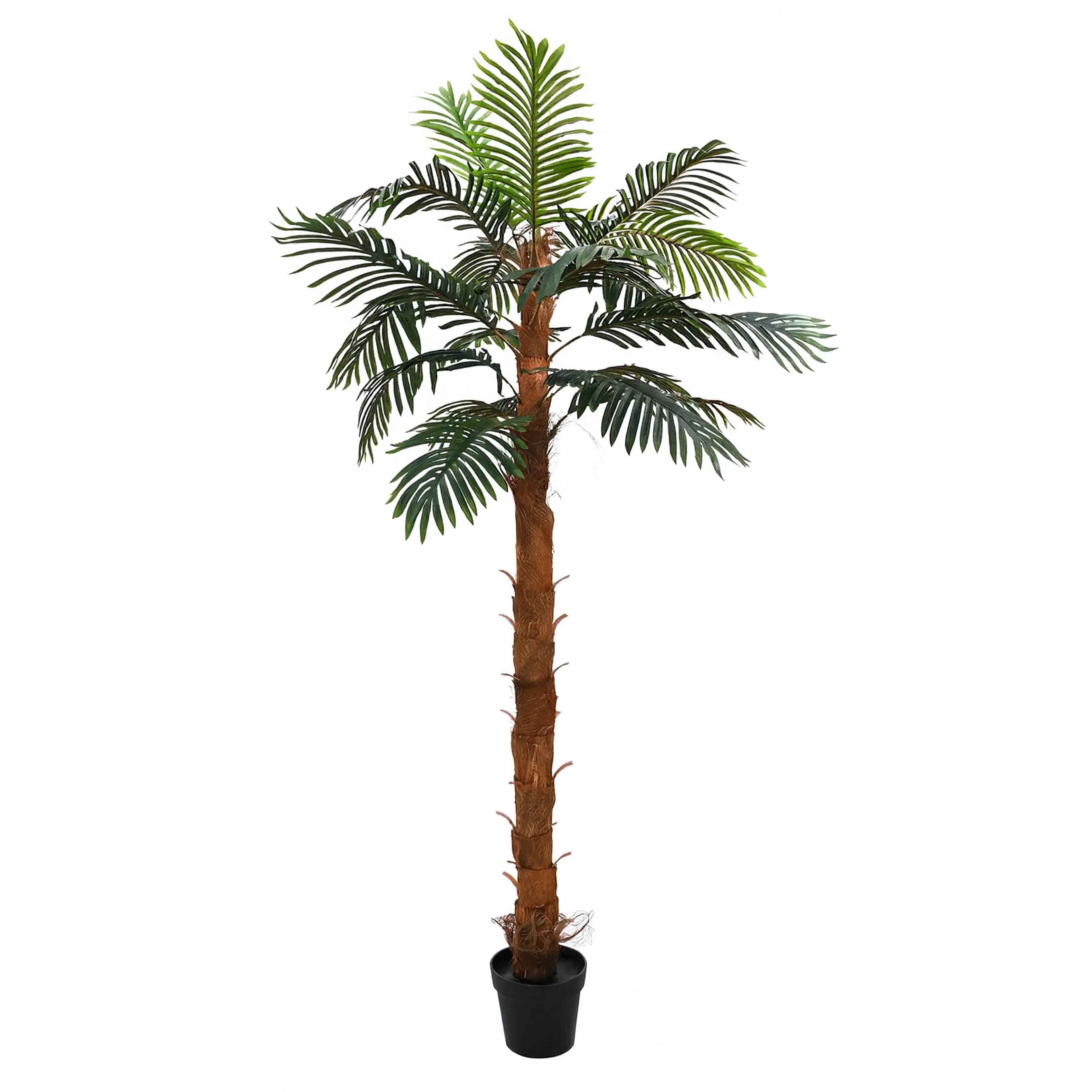 Palmier Cocuspalm Artificiel - 200 cm