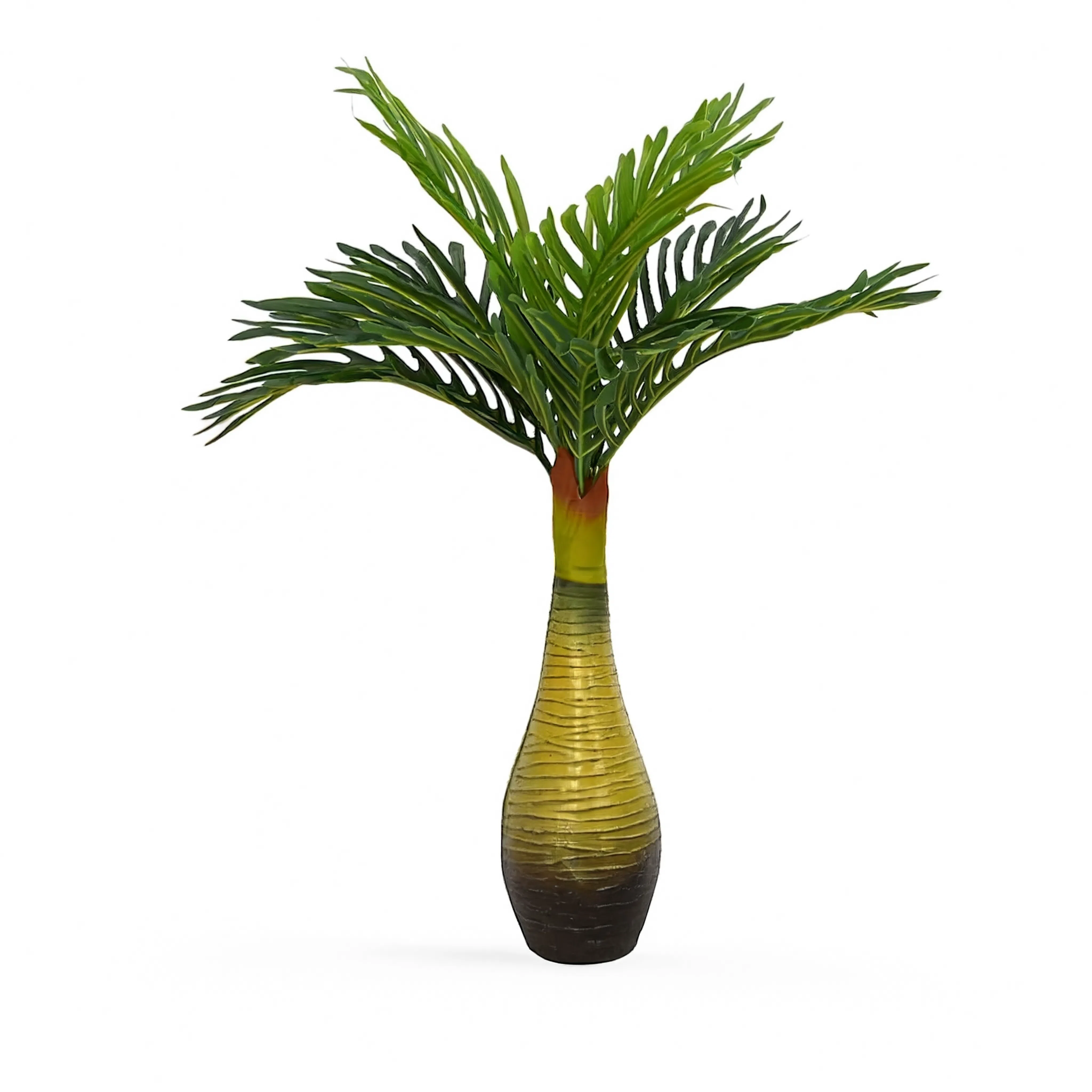 Mini Palmier Bouteille - 70 cm