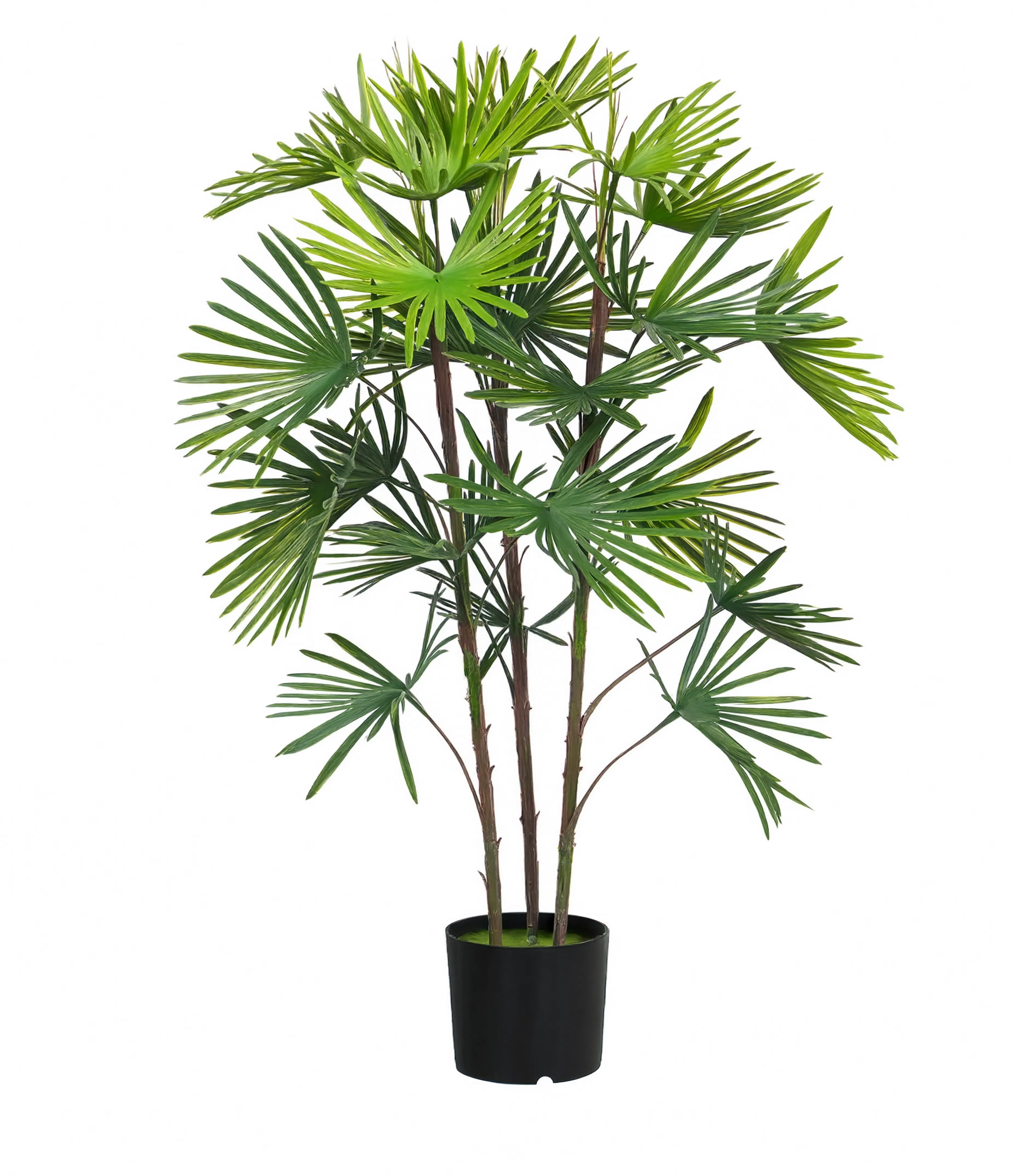 Palmier Raphis Artificiel - 90 cm