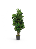 Ficus Lyrata Tressé Artificiel - 80 cm