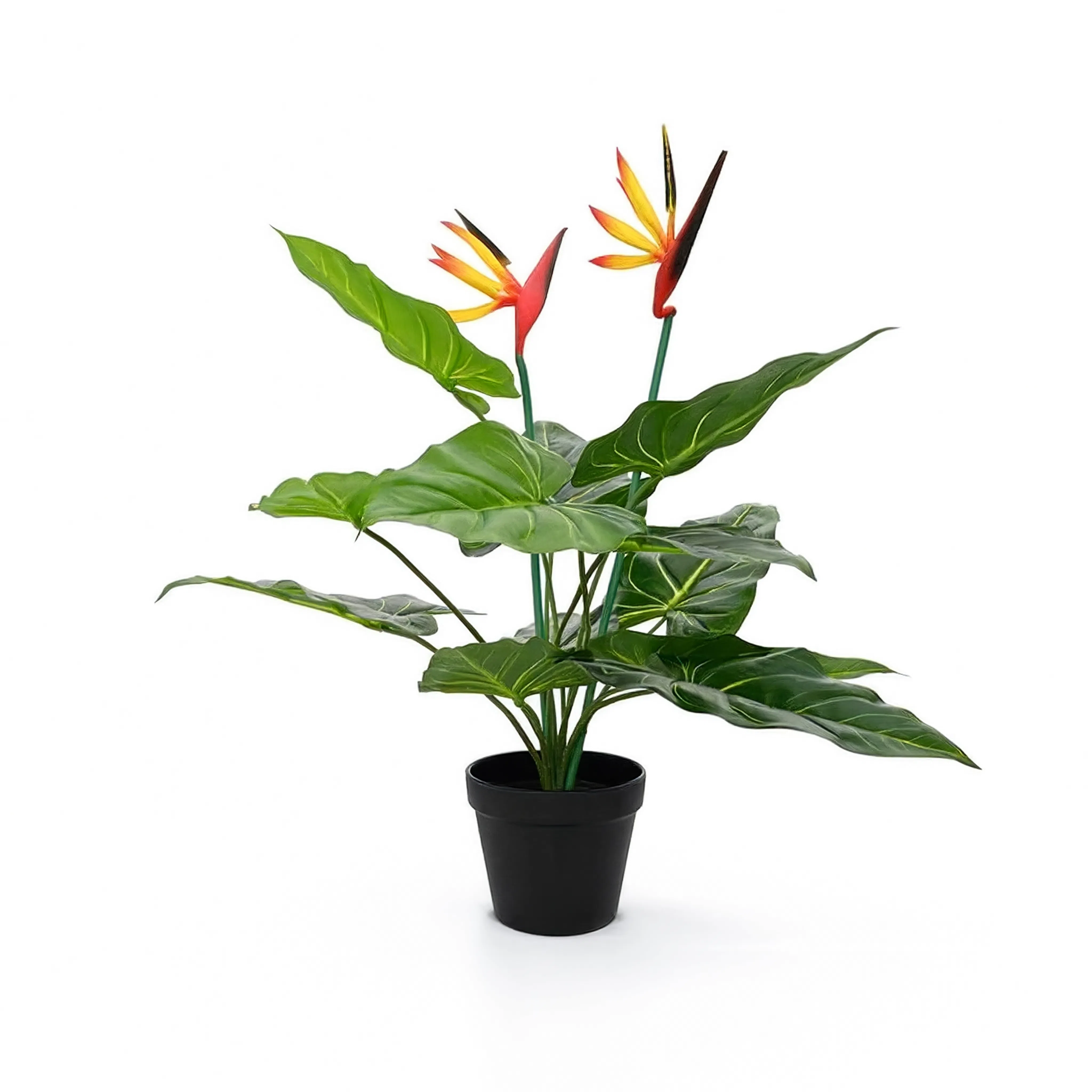 Strelitzia Vert Artificielle - 55 cm