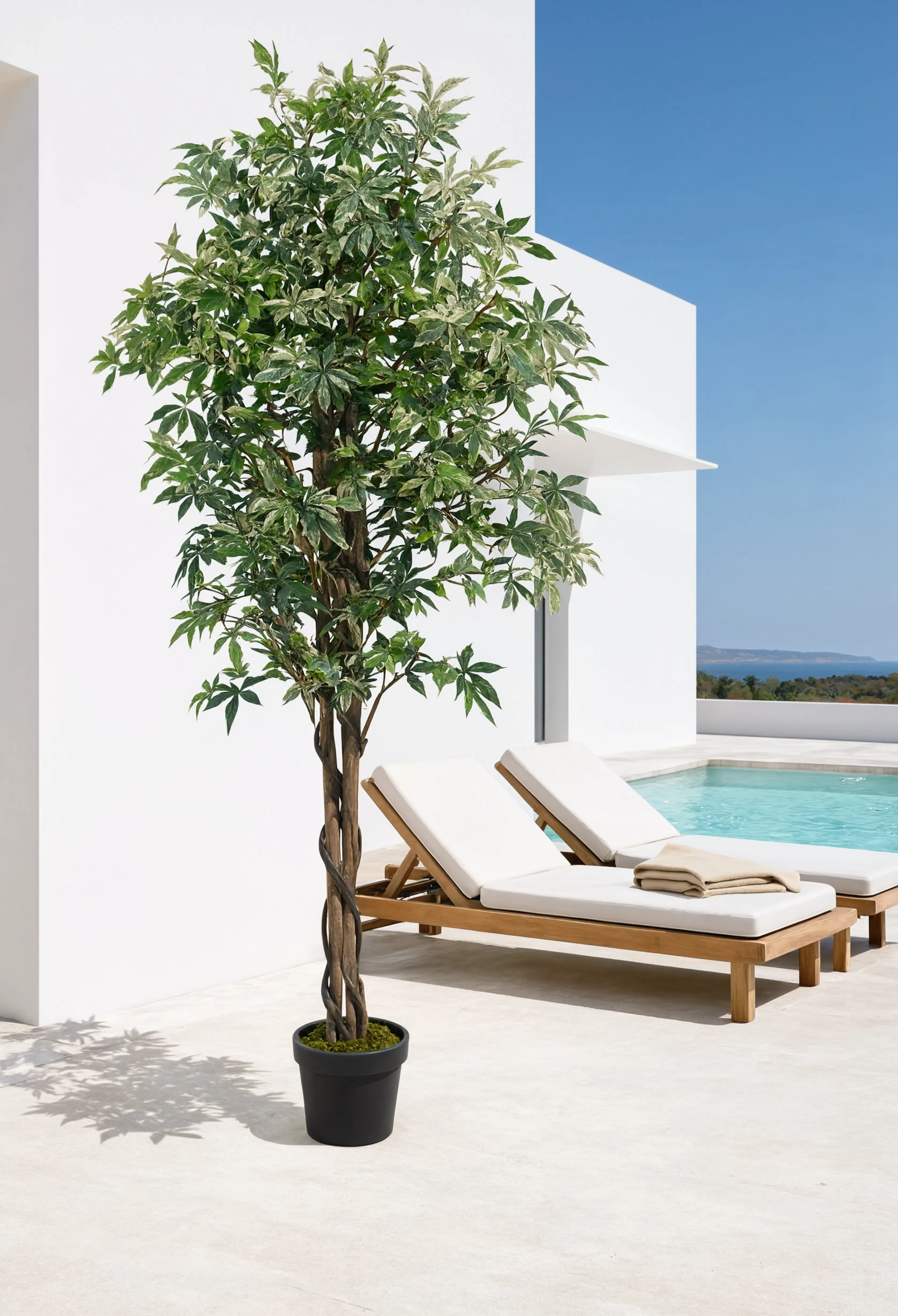 Plante Erable Artificielle - 200 cm