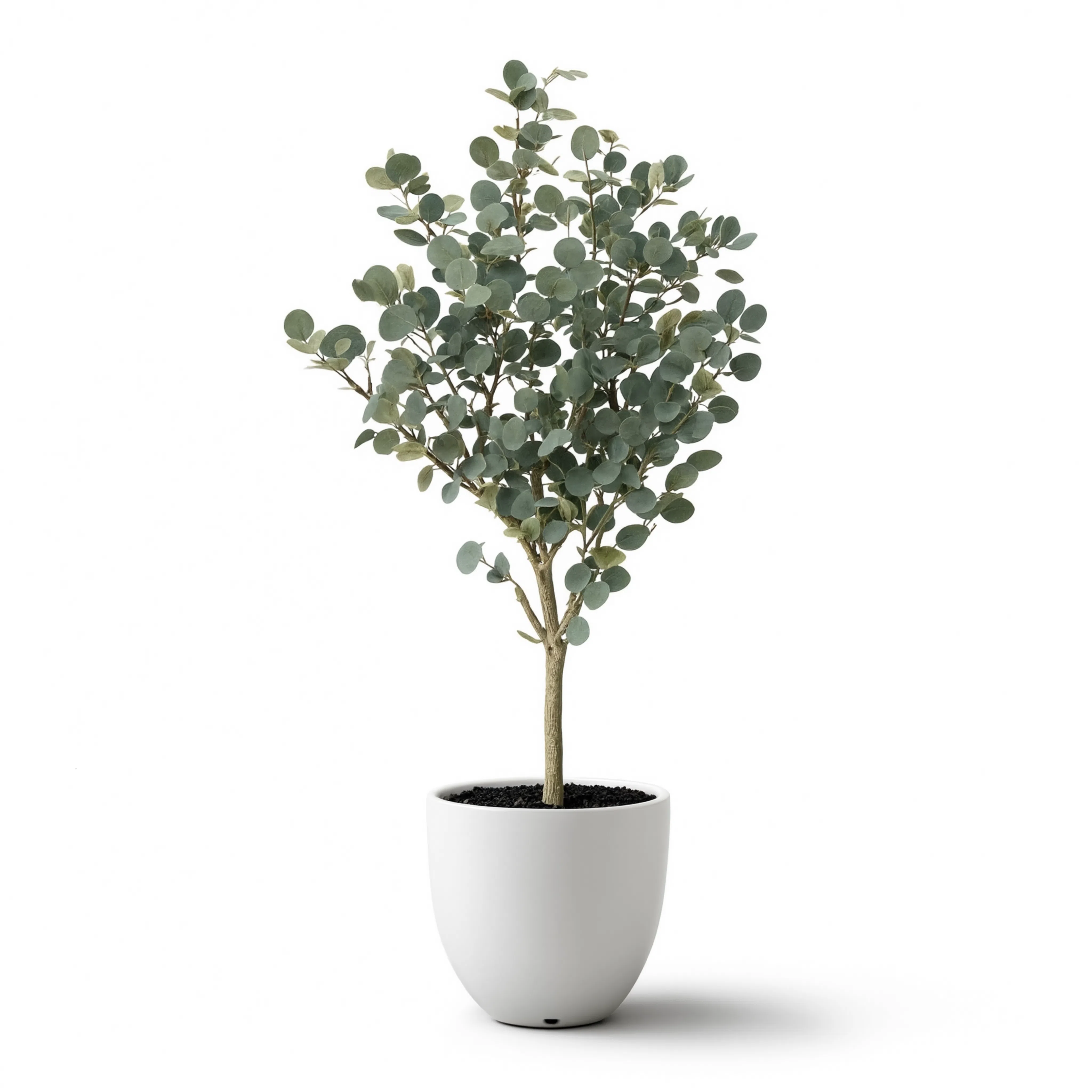 Eucalyptus Artificiel - 150 cm