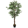 Ficus Exotica Artificiel Deluxe - 80 cm