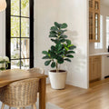 Ficus Lyrata Artificiel - 120 cm