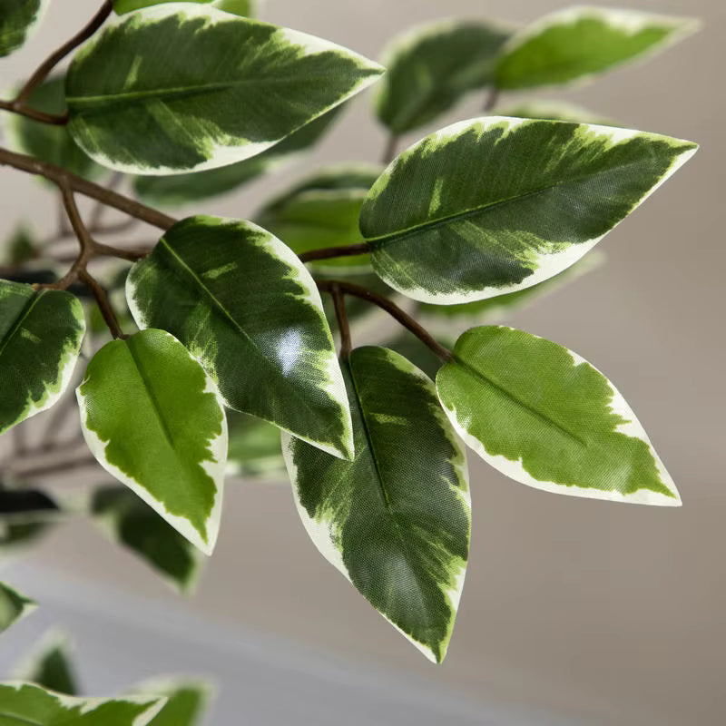 Ficus Pleureur Artificiel - 130 cm