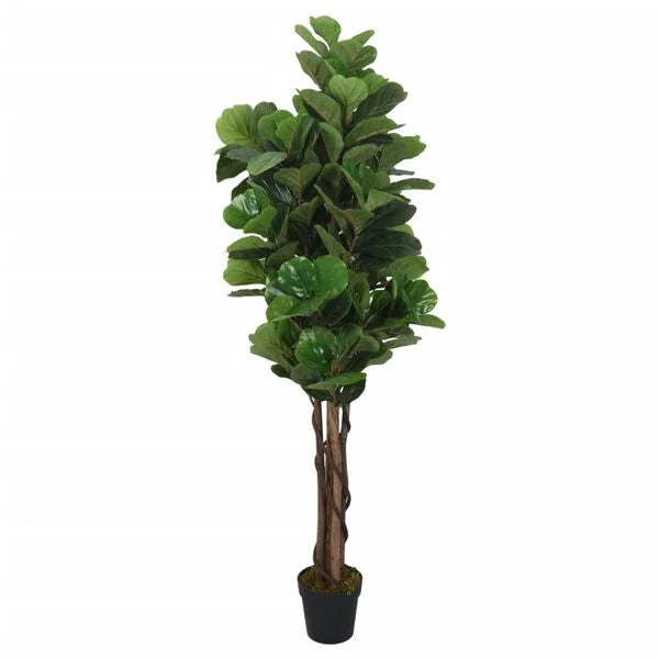 Ficus Lyrata Tressé Artificiel - 150 cm
