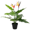 Strelitzia Vert Artificielle - 55 cm