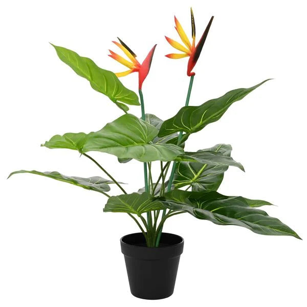 Strelitzia Vert Artificielle - 55 cm