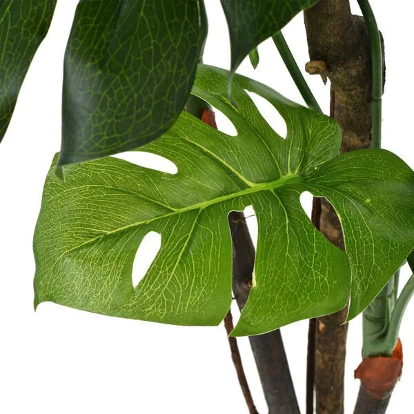 Monstera Artificielle - 170 cm