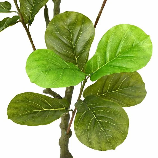 Ficus Audrey Artificiel - 125 cm