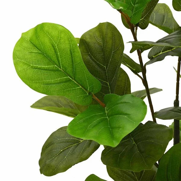 Ficus Audrey Artificiel - 165 cm
