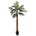 Palmier Cocuspalm Artificiel - 200 cm