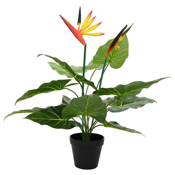 Strelitzia Vert Artificielle - 55 cm